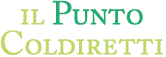 logo-il-punto