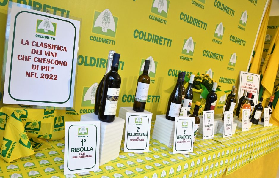 Pensione Saggio Telegrafo Vino Antibiotico Pidgin O Pi Tardi Pogo 