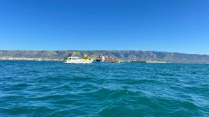 Blitz agricoltori Porto Manfredonia