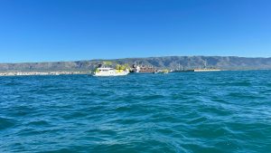 Blitz agricoltori Porto Manfredonia