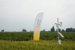 Consorzi Agrari d’Italia
