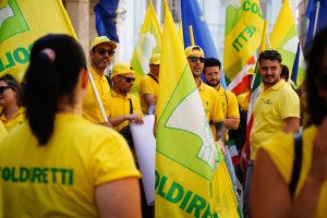Benvenuti a Vonderland - Roma - Senato