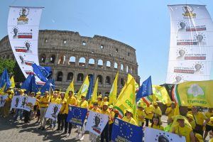 Benvenuti a Vonderland - Roma - Colosseo